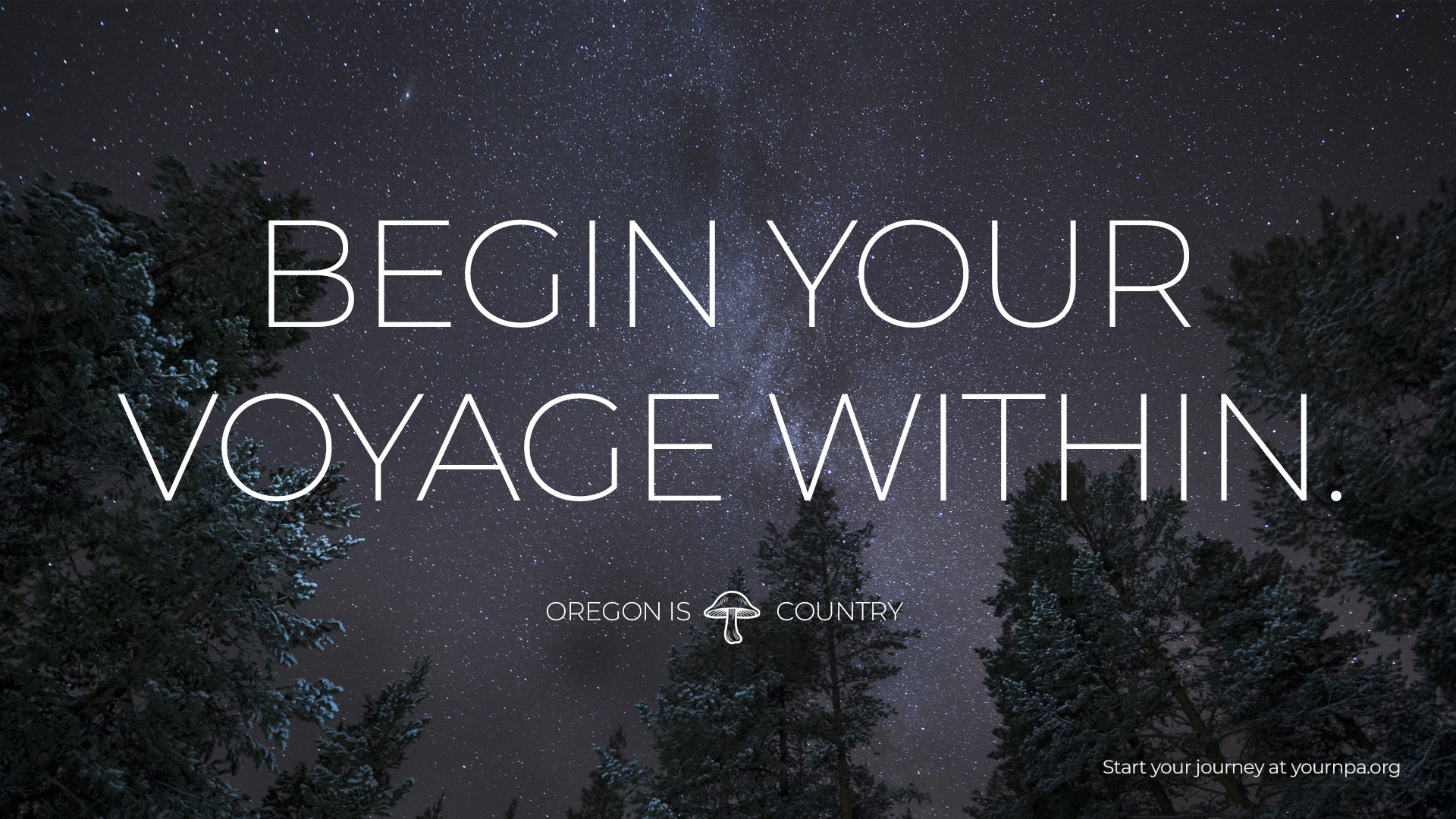 National Psychedelics Association