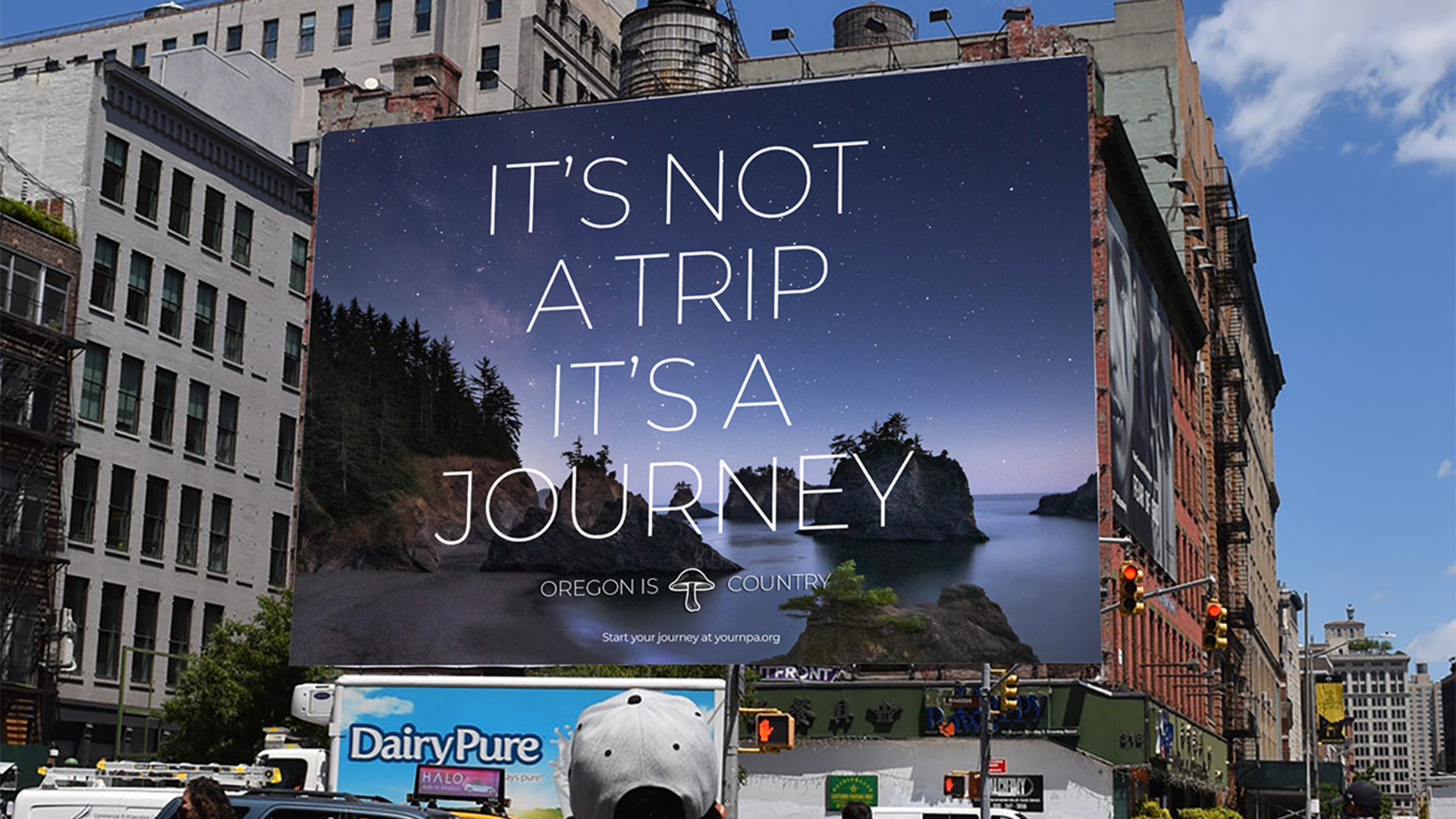 National Psychedelics Association