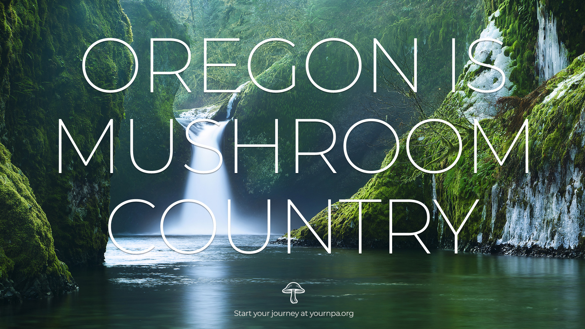 National Psychedelics Association